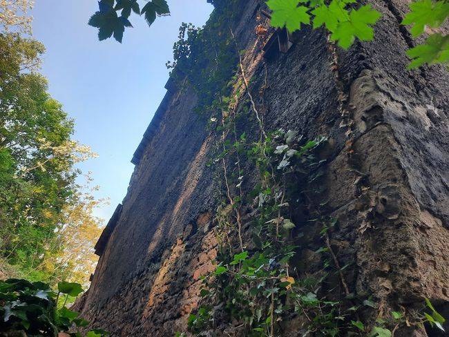 Fissure de maison en mâchefer